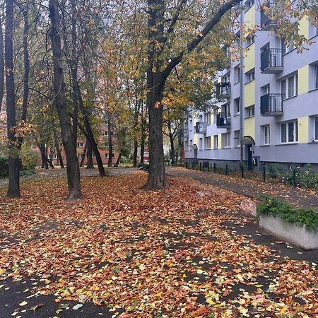 Yellow Apartment Airport Galeria Mokotow Netflix Варшава Екстериор снимка
