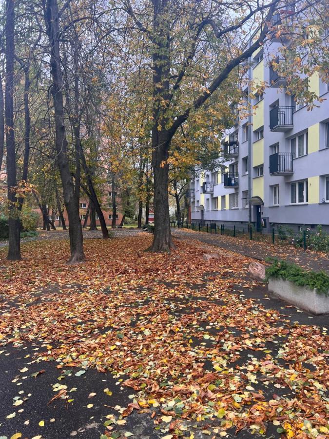Yellow Apartment Airport Galeria Mokotow Netflix Варшава Екстериор снимка